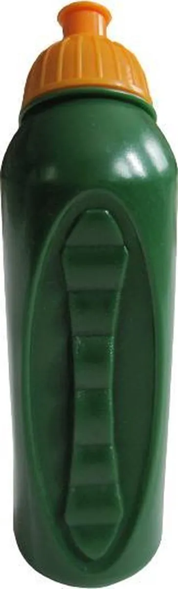 Nickelodeon Dora The Explorer Bidon 400ml - Groen