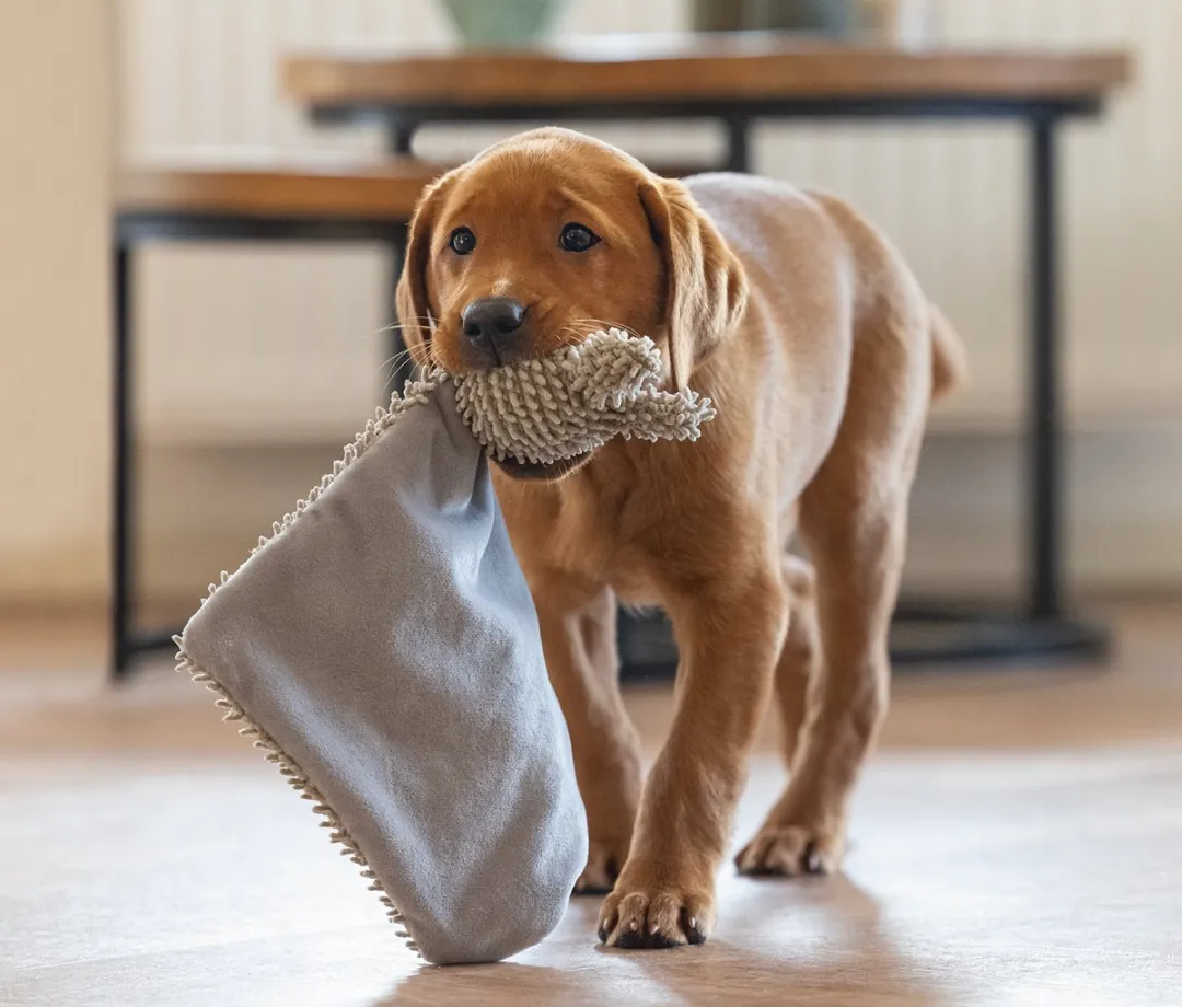 Beeztees Puppy Knuffellap Konijn - Ecologisch Gerecycled Grijs - afbeelding 6 van 6