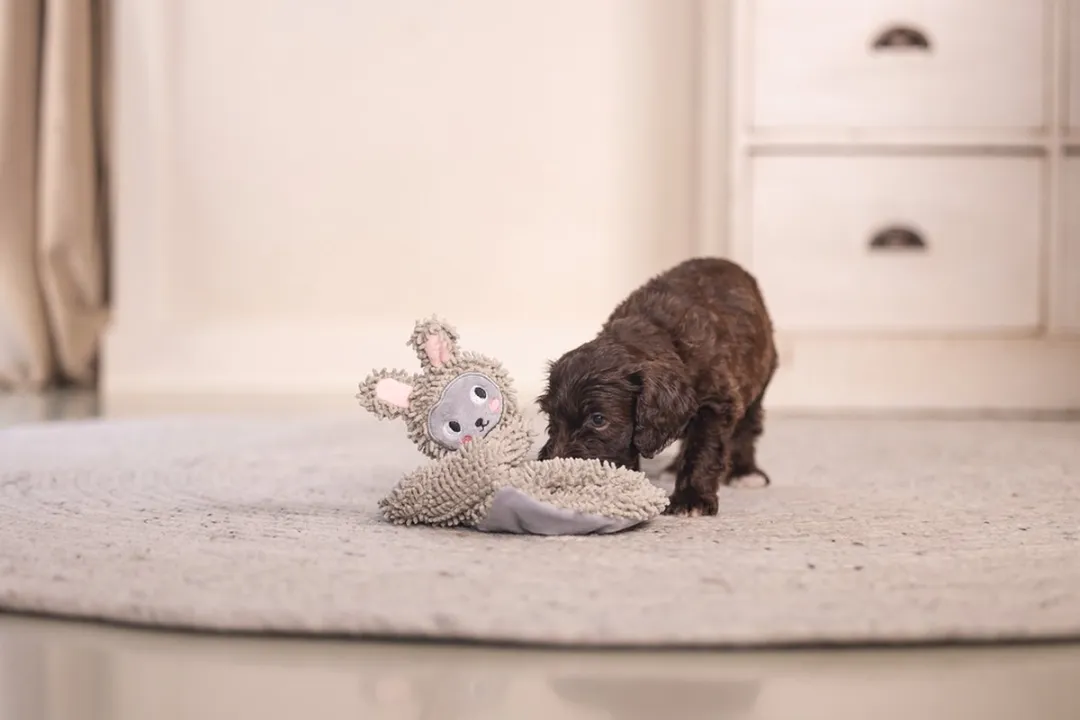 Beeztees Puppy Knuffellap Konijn - Ecologisch Gerecycled Grijs