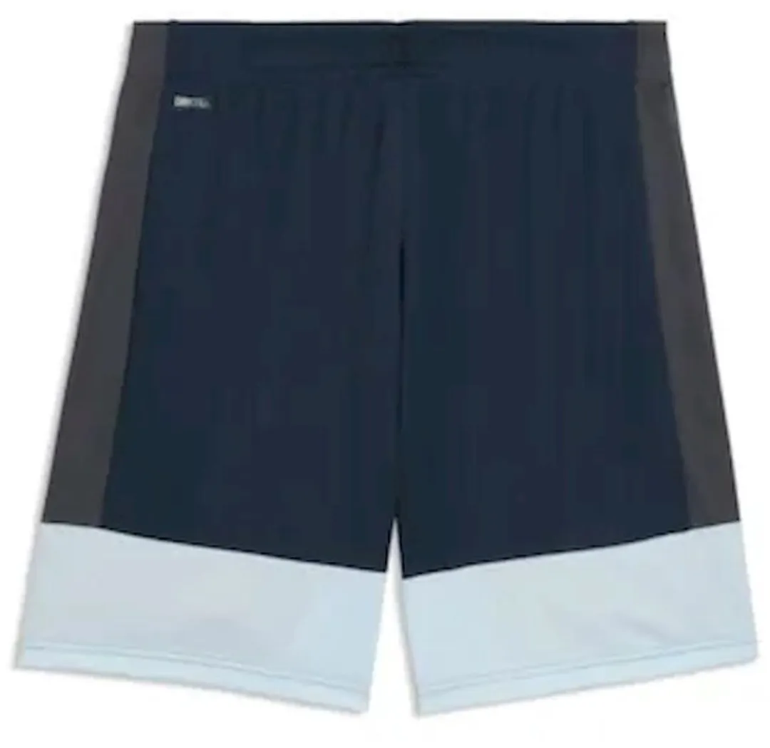 PUMA Individualliga Training Shorts 660574-02