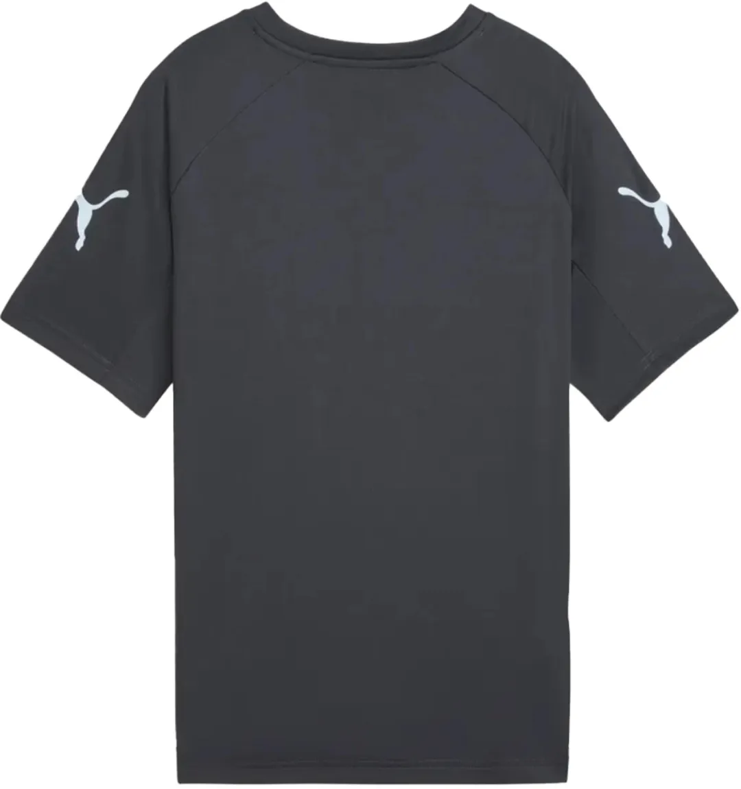 PUMA Individualliga Graphic Jersey Jr Voetbalshirt 128 - Blauw