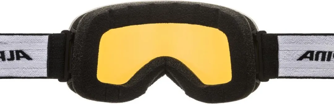 Alpina Slope Q-Lite Skibril - Zwart - Blauwe Lens