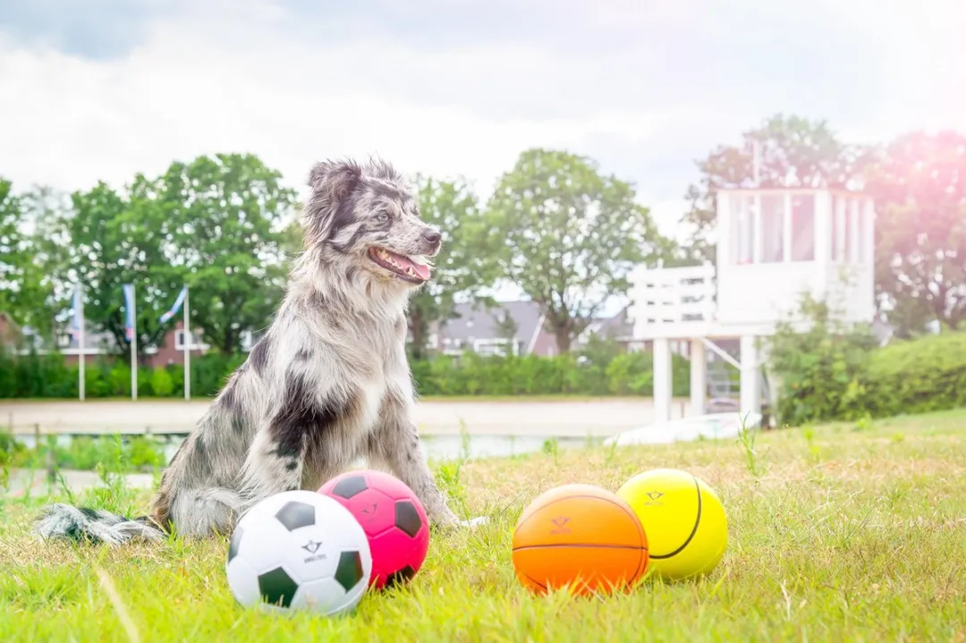 Angel Toys Voetbal 12,5cm - Zwart/Wit