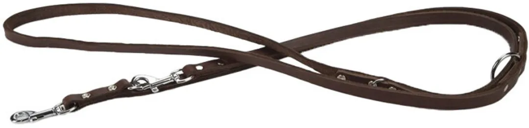 Beeztees Hondenriem Leer - Donkerbruin 180cm