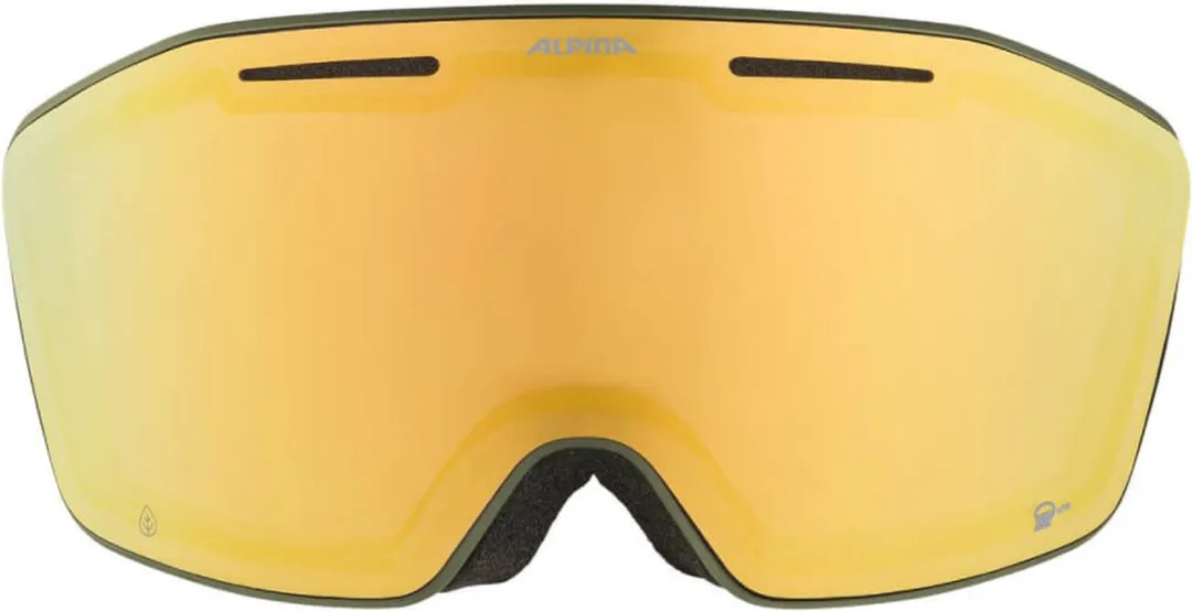 Alpina Nendaz Q-Lite OTG Skibril - Groen - Categorie 2