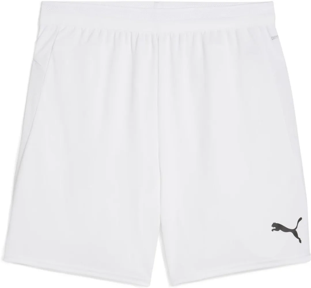 PUMA TeamCUP Shorts 706275