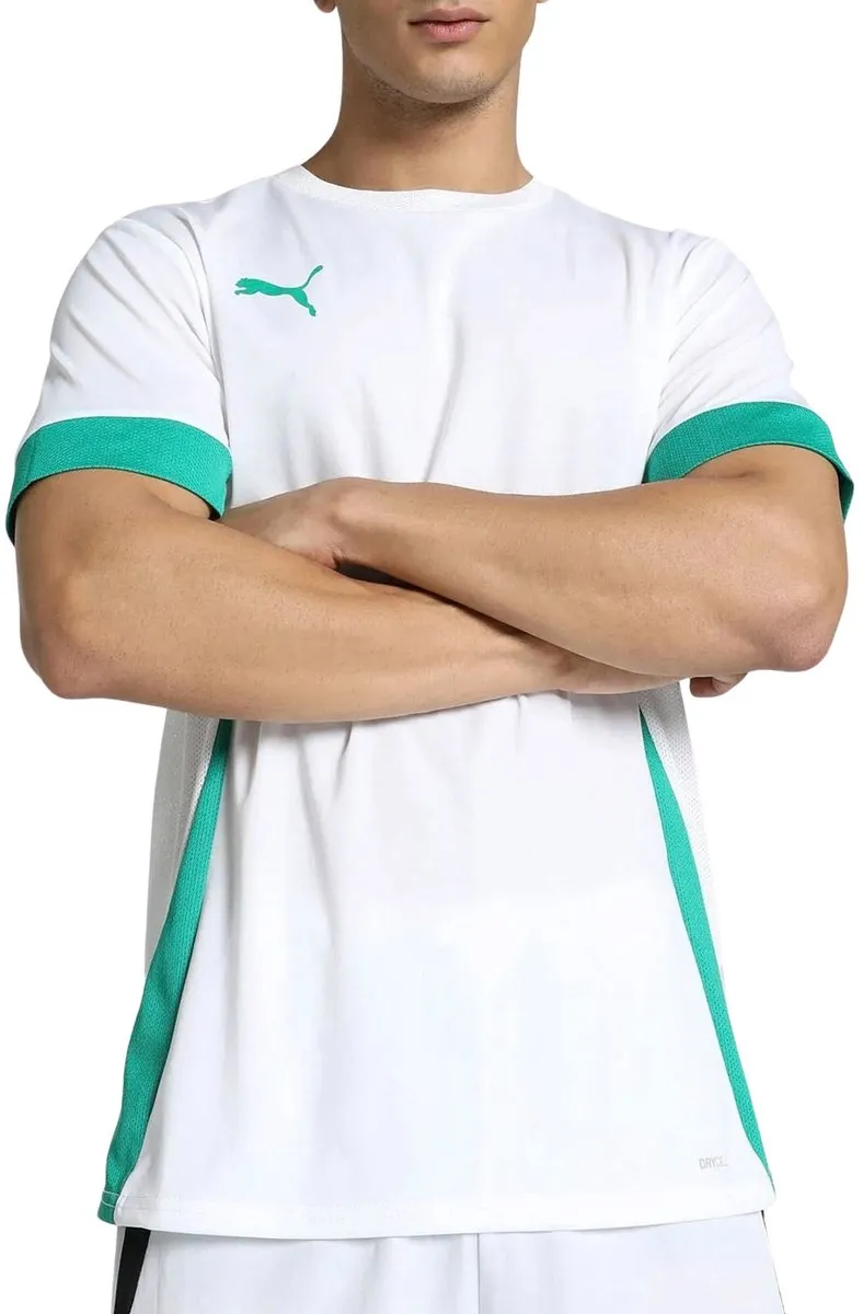 PUMA TeamGOAL Matchday Shirt Heren - XL - 705747-09