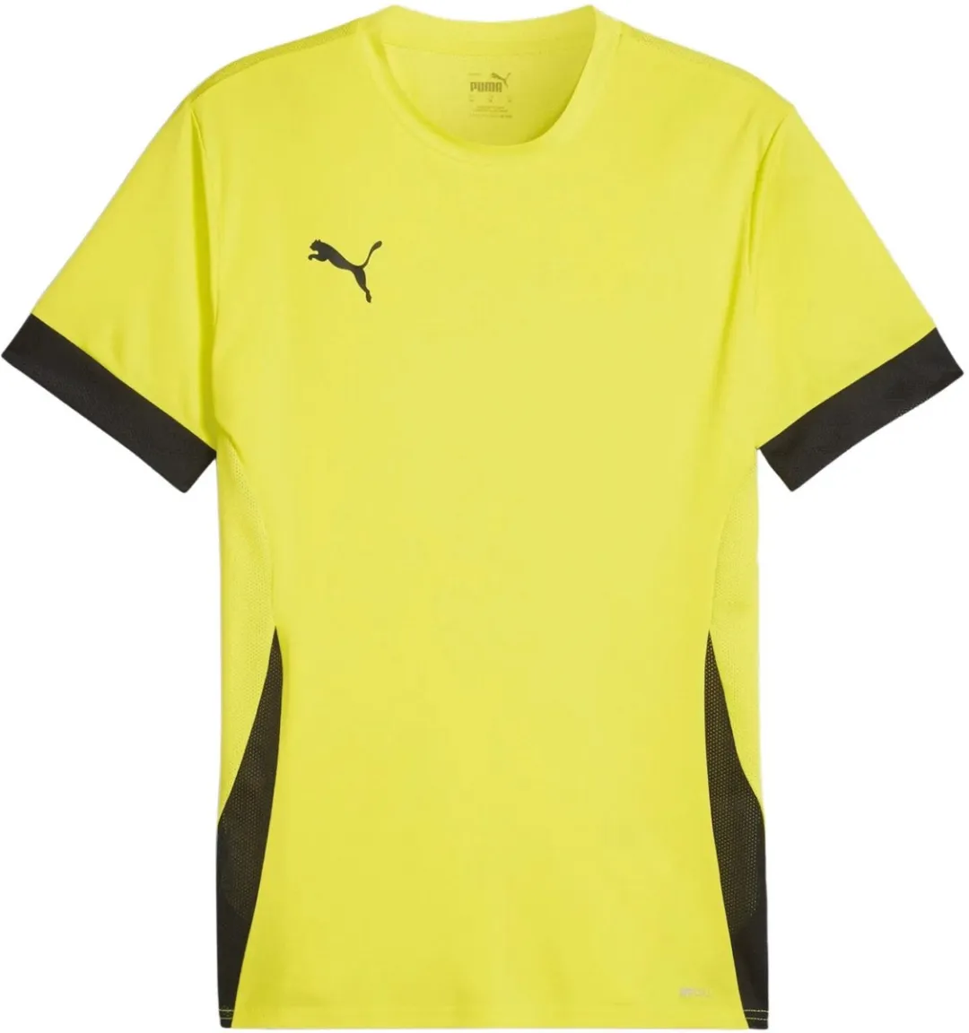 PUMA TeamGOAL Matchday Shirt Heren - XL - 705747-09