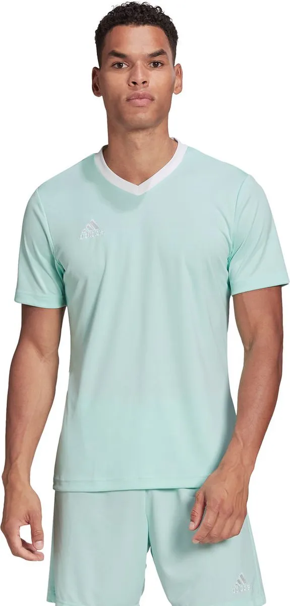 Adidas Entrada 22 Shirt Heren - Wit/Munt S