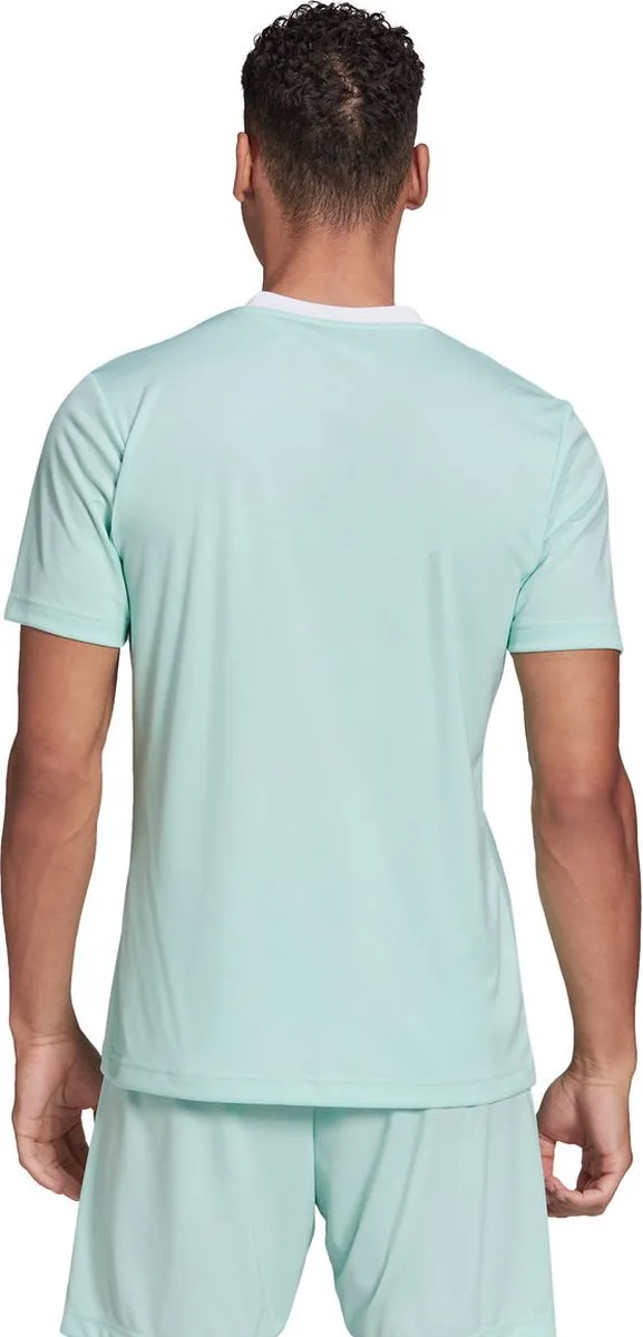 Adidas Entrada 22 Shirt Heren - Wit/Munt S - afbeelding 6 van 6