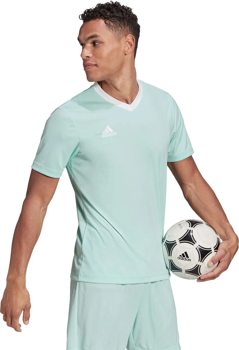 Adidas Entrada 22 Shirt Heren - Wit/Munt S
