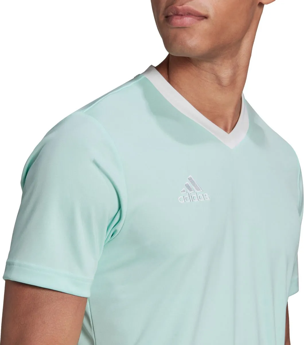 Adidas Entrada 22 Shirt Heren - Wit/Munt S