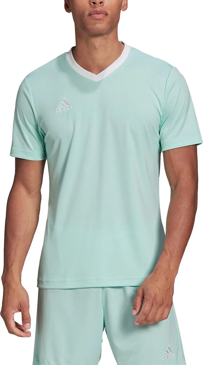 Adidas Entrada 22 Shirt Heren - Wit/Munt S