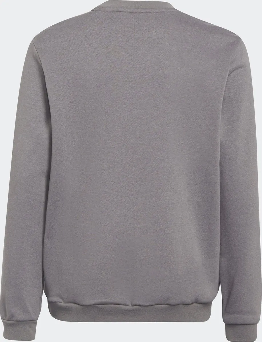 adidas Performance Entrada 22 Sweatshirt - 140 - Grijs