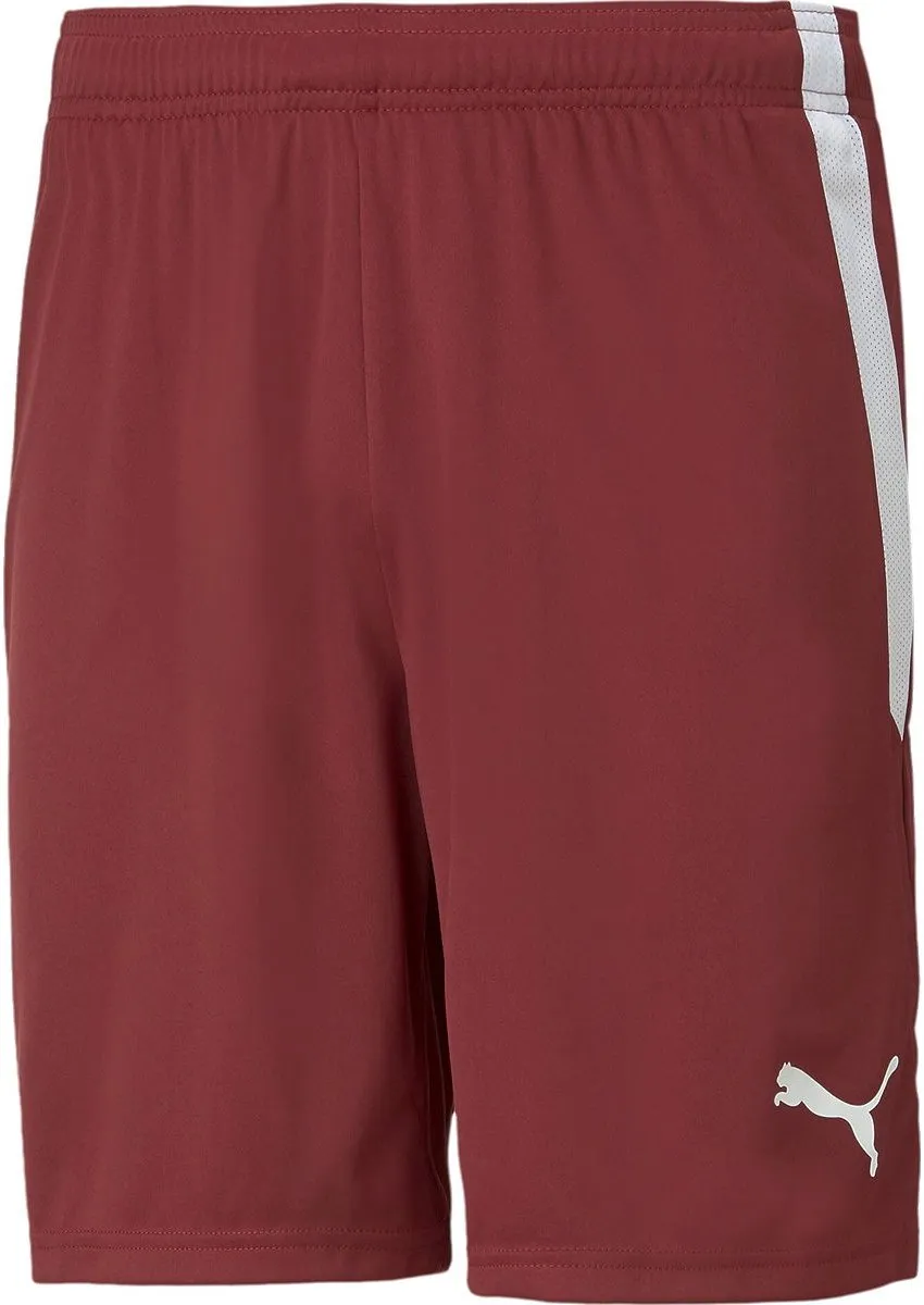 PUMA Teamliga Short Heren