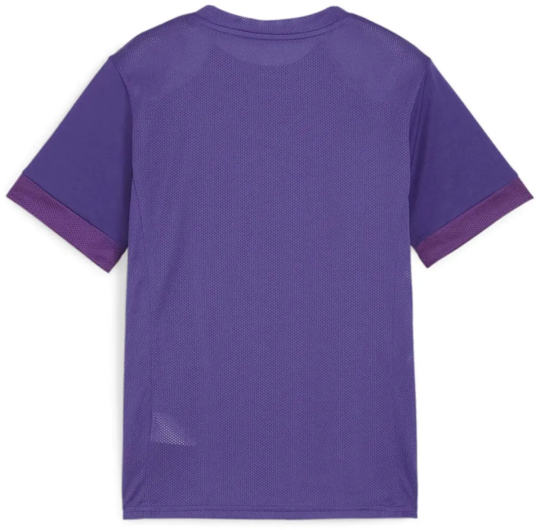 PUMA TeamGOAL Matchday Shirt junior 128 - Paars
