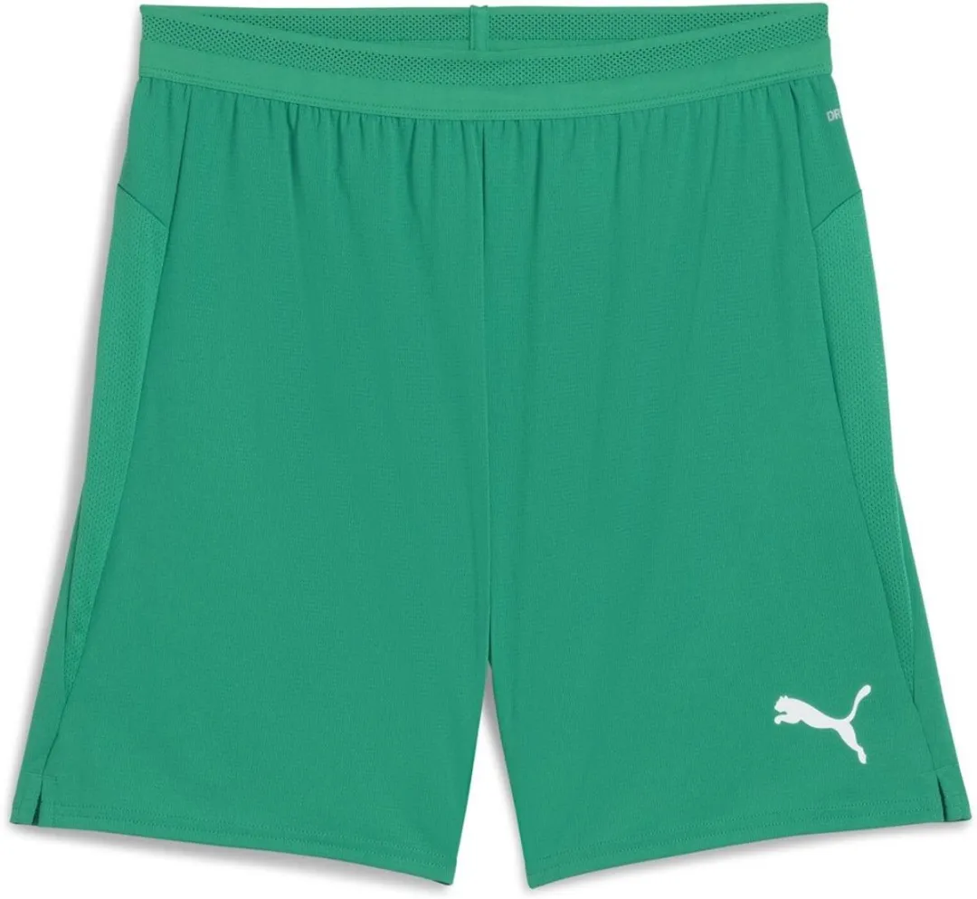 PUMA TeamCUP Shorts 706275
