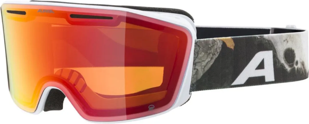 Alpina Nendaz Q OTG Skibril