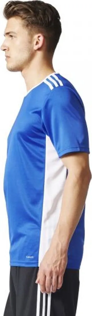 adidas Entrada 18 Heren Trikot - Bold Blue/Wit - Maat M