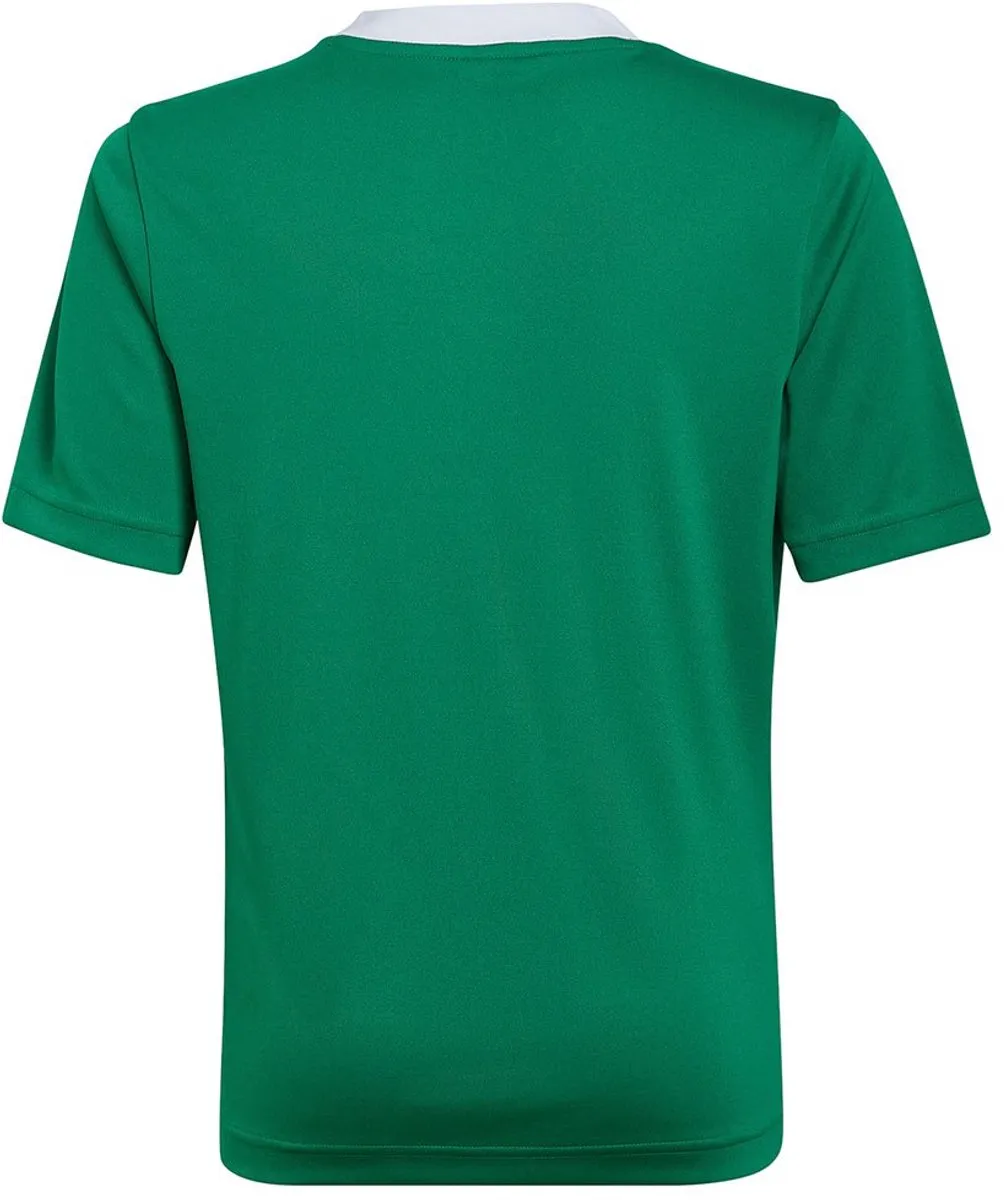 adidas Entrada 22 Jersey Youth 140 - Groen