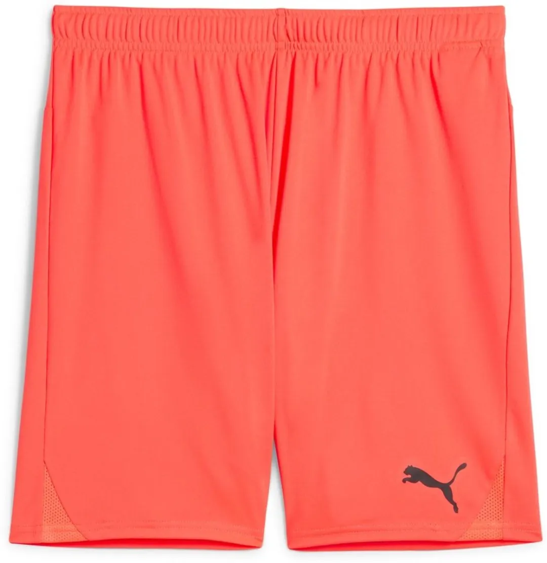 PUMA TeamGoal Shorts 705752