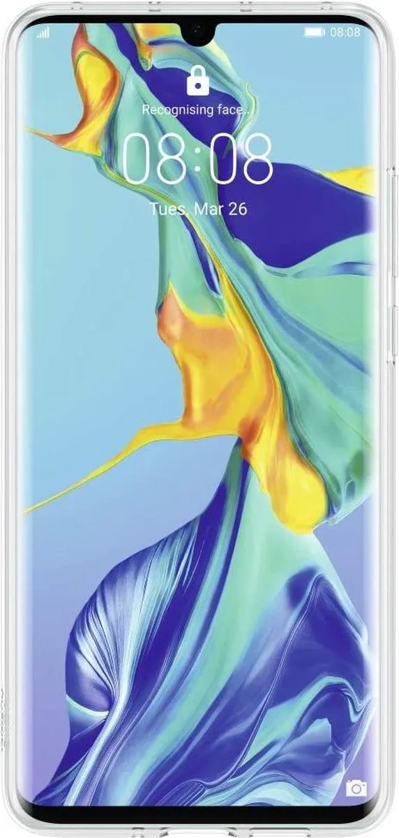 Huawei P30 Pro Clear Case - Glacial Fairyland