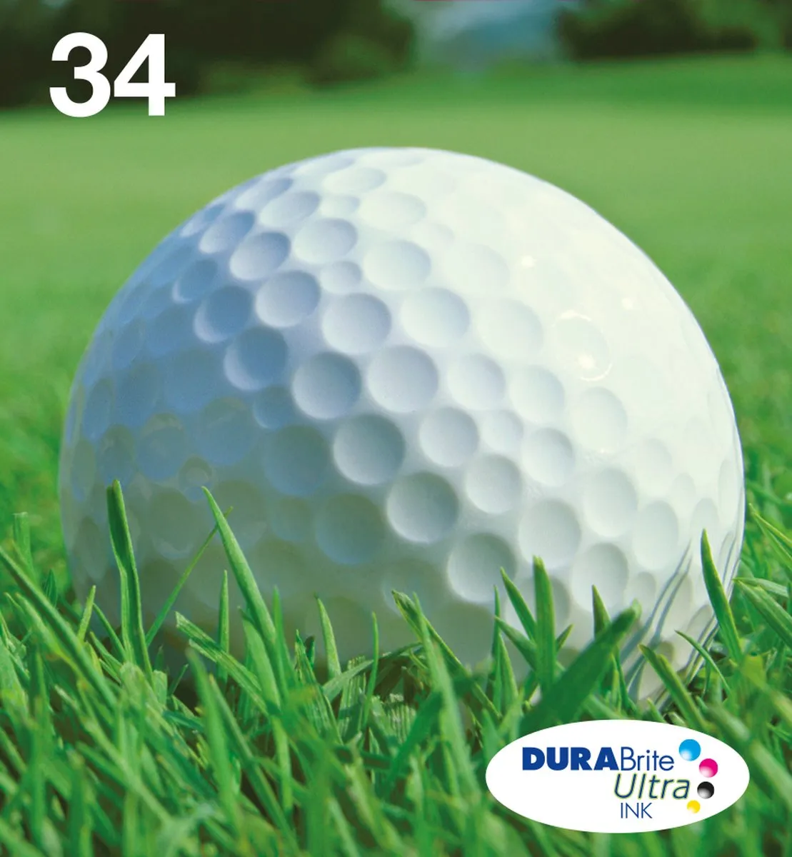 Epson DURABrite Ultra Ink Golfbal Multipack 34 C13T34664510 - 4 Kleuren