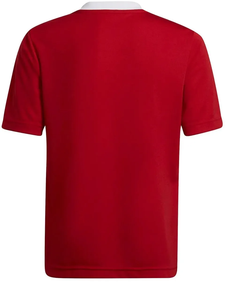 Adidas Entrada 22 SS Shirt Junior H57496 - Maat 176 - Rood/Wit