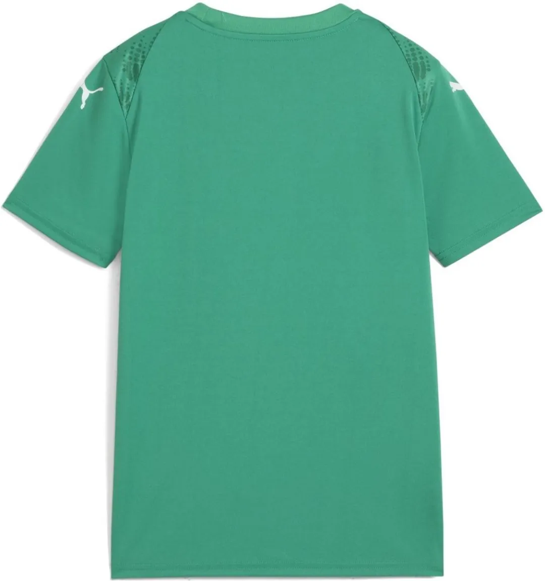 PUMA Kinder TeamUltimate Jersey Jr 706282 - 128