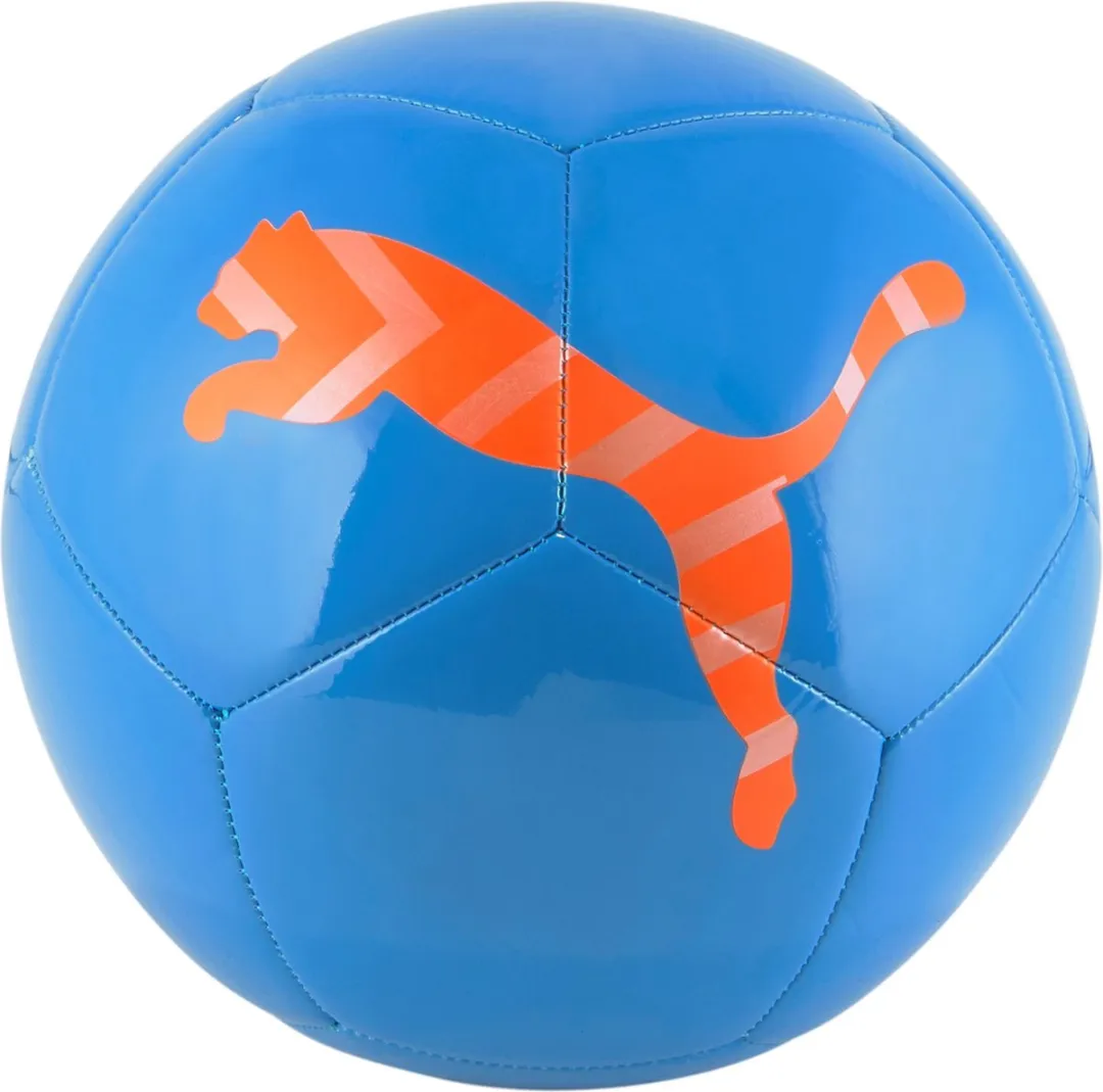 PUMA Voetbal Icon Maat 5
