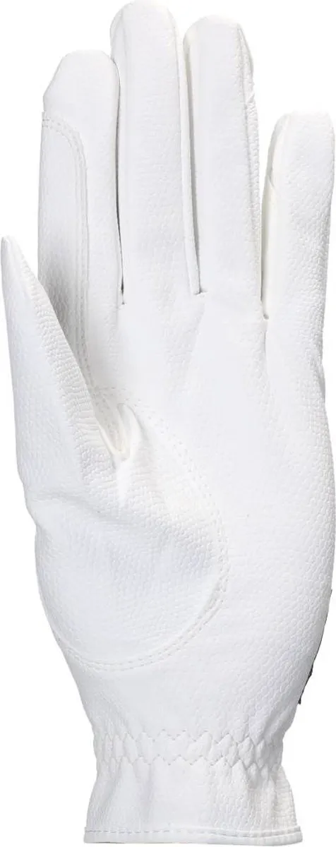 Uvex Sportstyle Handschoenen - L - Blauw