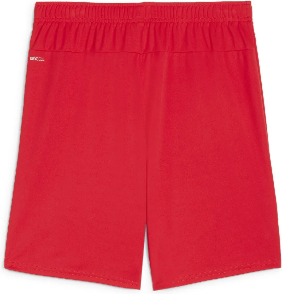PUMA teamGOAL Shorts Heren Trainingsbroek XL - Puma Red-Puma White