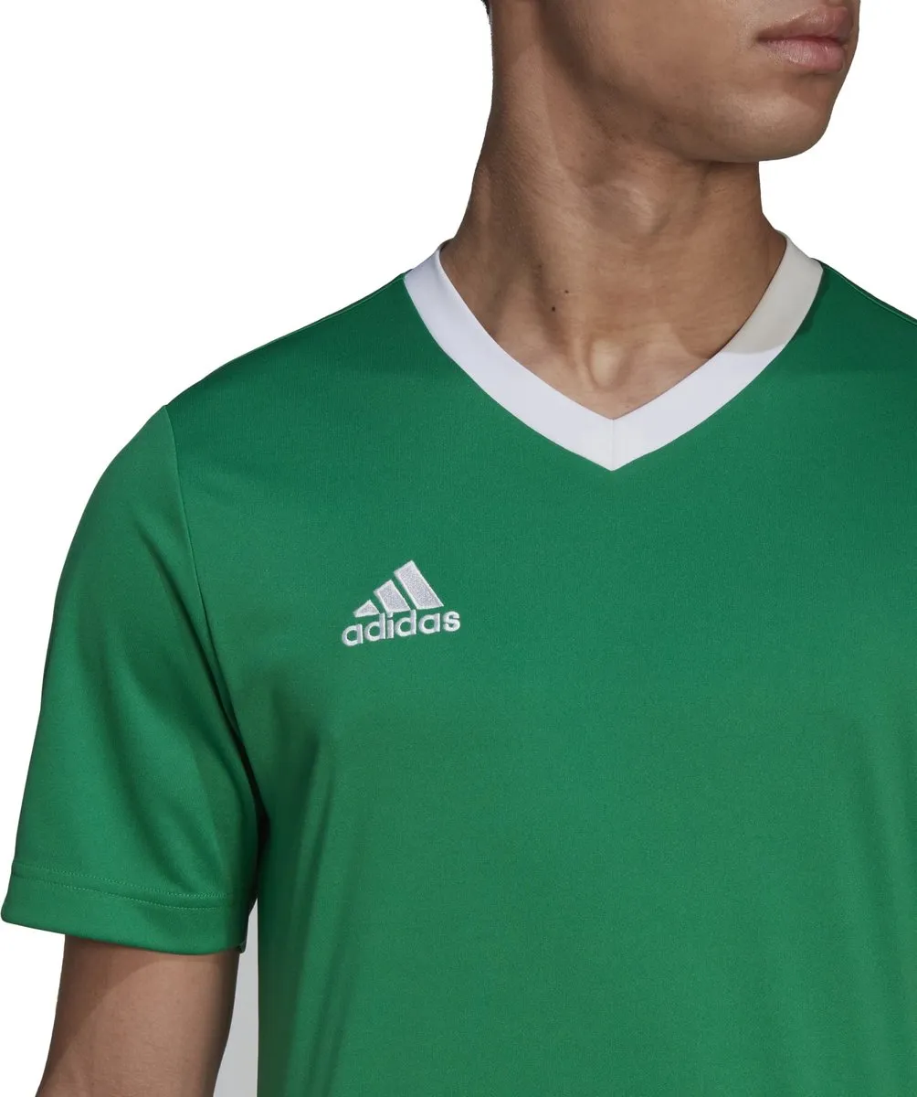 adidas Performance Entrada 22 Voetbalshirt HI2123 - XS - Groen