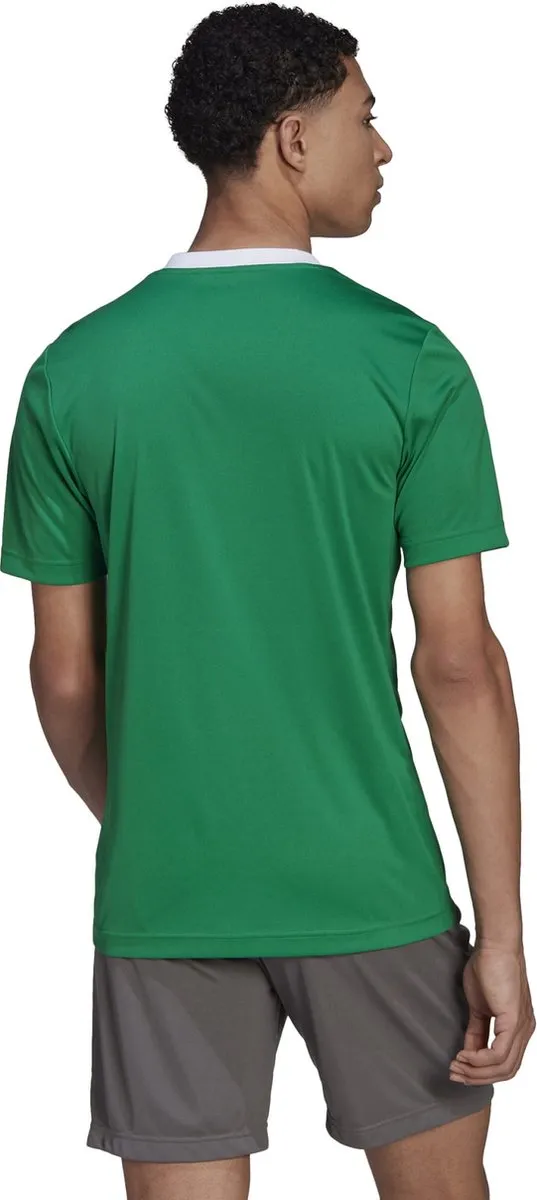 adidas Performance Entrada 22 Voetbalshirt HI2123 - XS - Groen