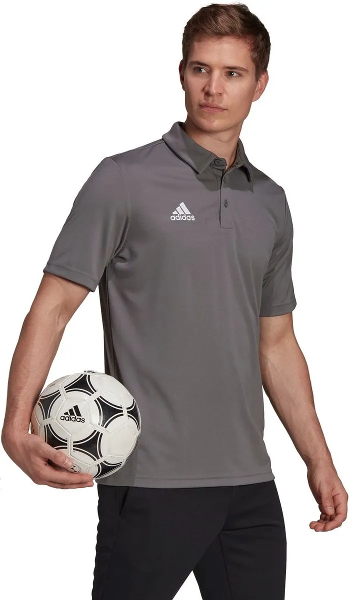 adidas Entrada 22 Polo - Grijs - M