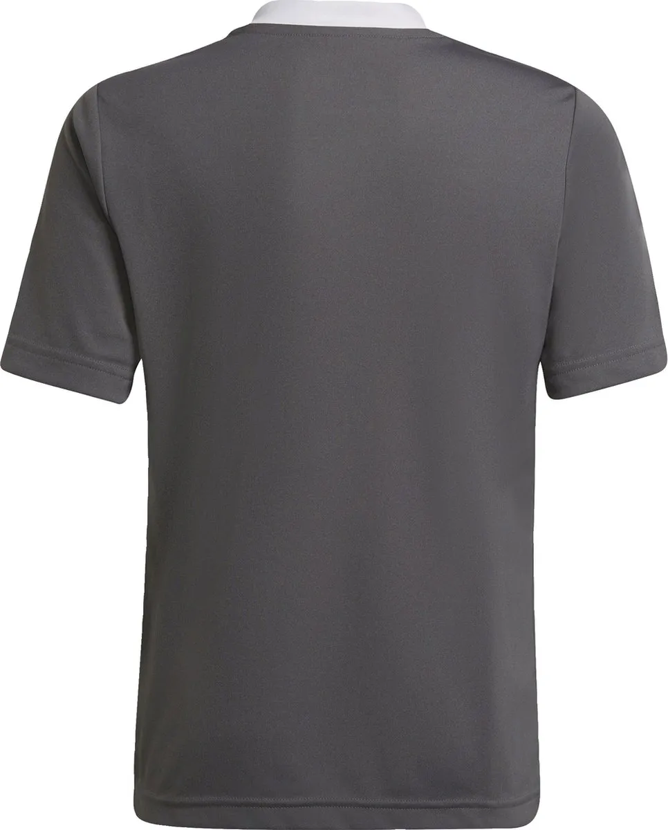 adidas Performance Entrada 22 Voetbalshirt 128 - Grijs - afbeelding 6 van 6