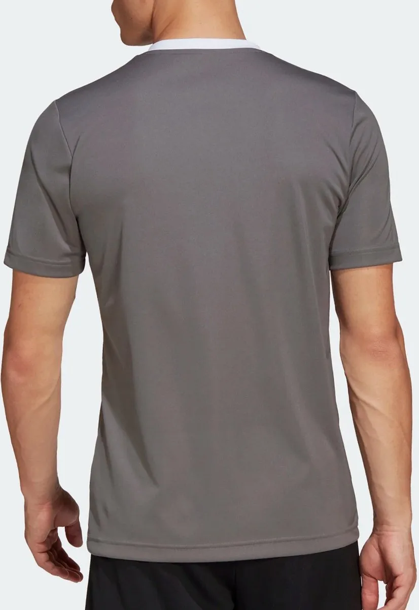 adidas Performance Entrada 22 Voetbalshirt XL - Grijs