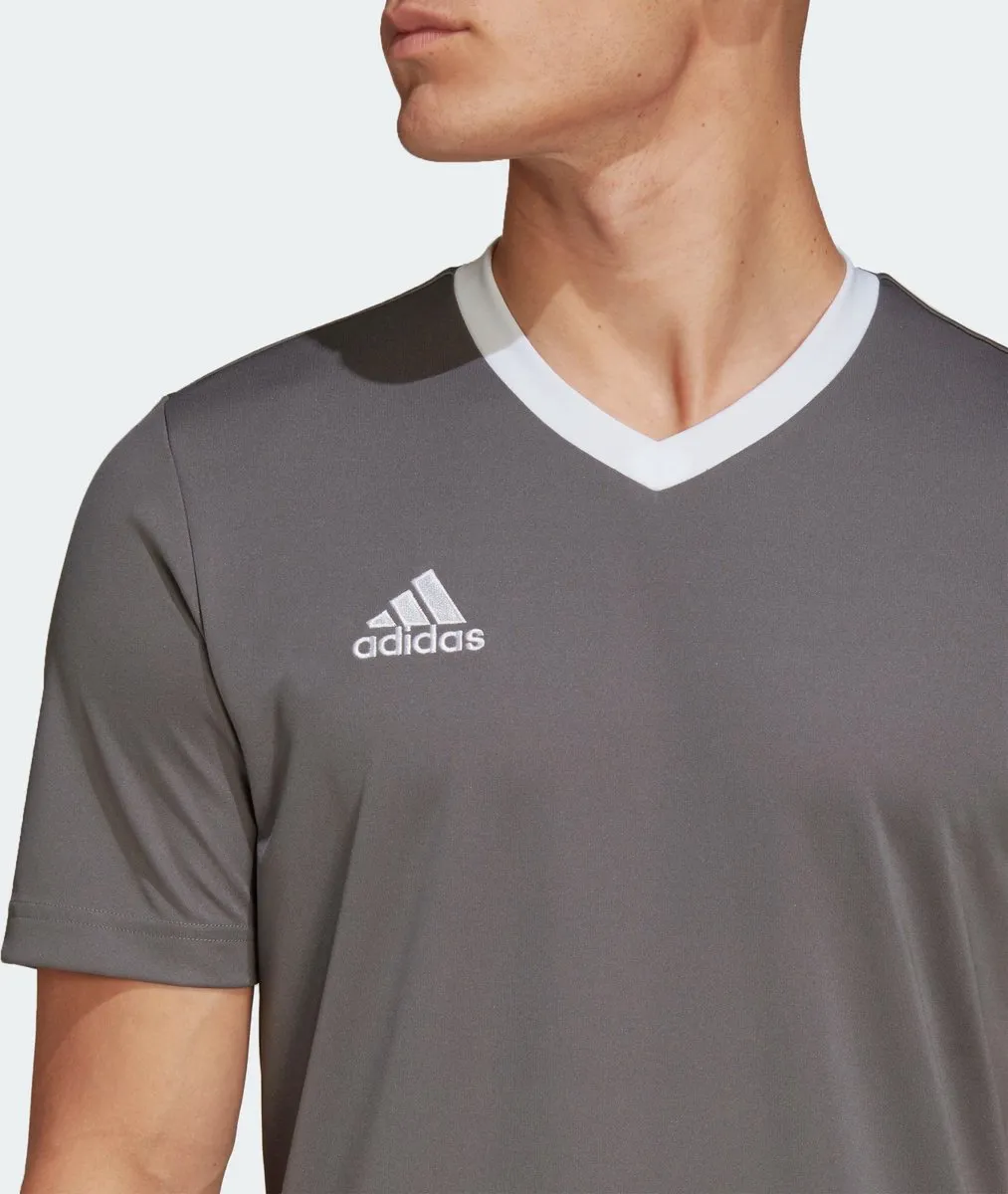 adidas Performance Entrada 22 Voetbalshirt XL - Grijs