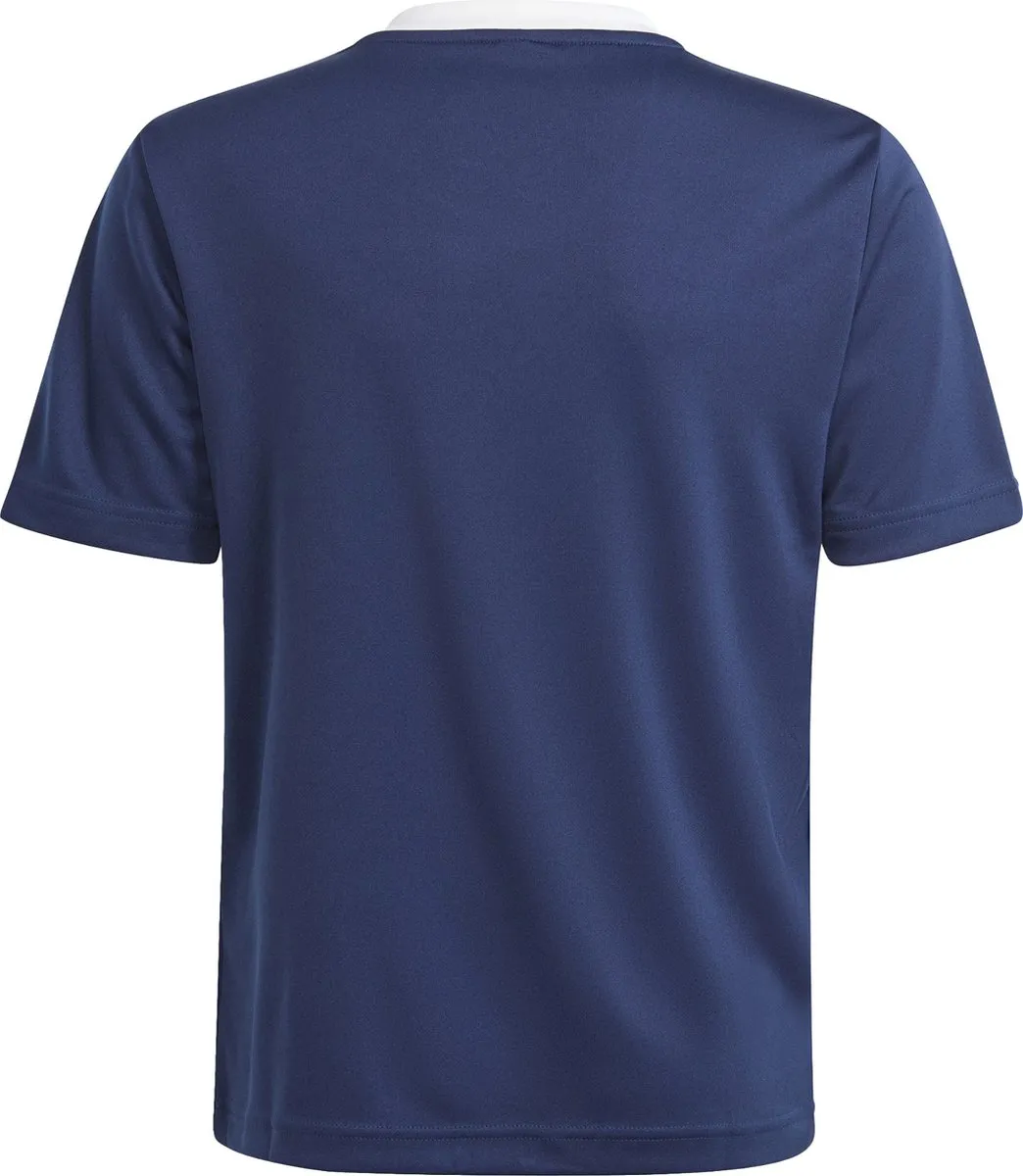 adidas Performance Entrada 22 Voetbalshirt 140 - Blauw