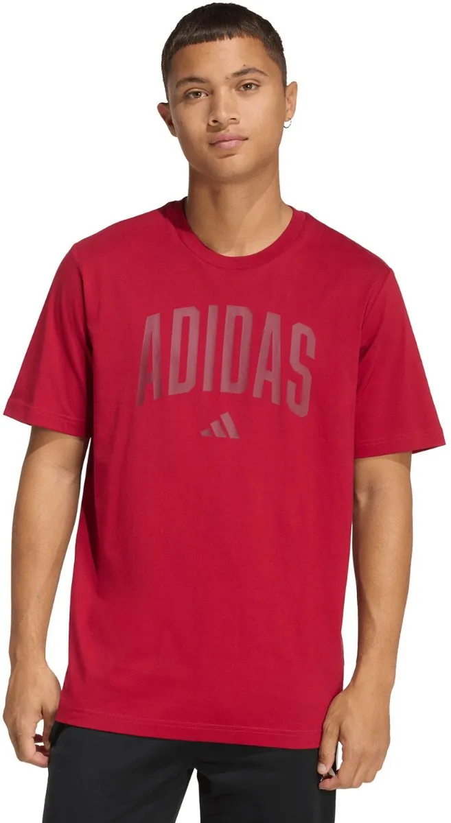 Adidas T-shirt Heren Collegiate Lineage