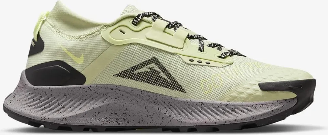 Nike Pegasus Trail 3 Gore-Tex