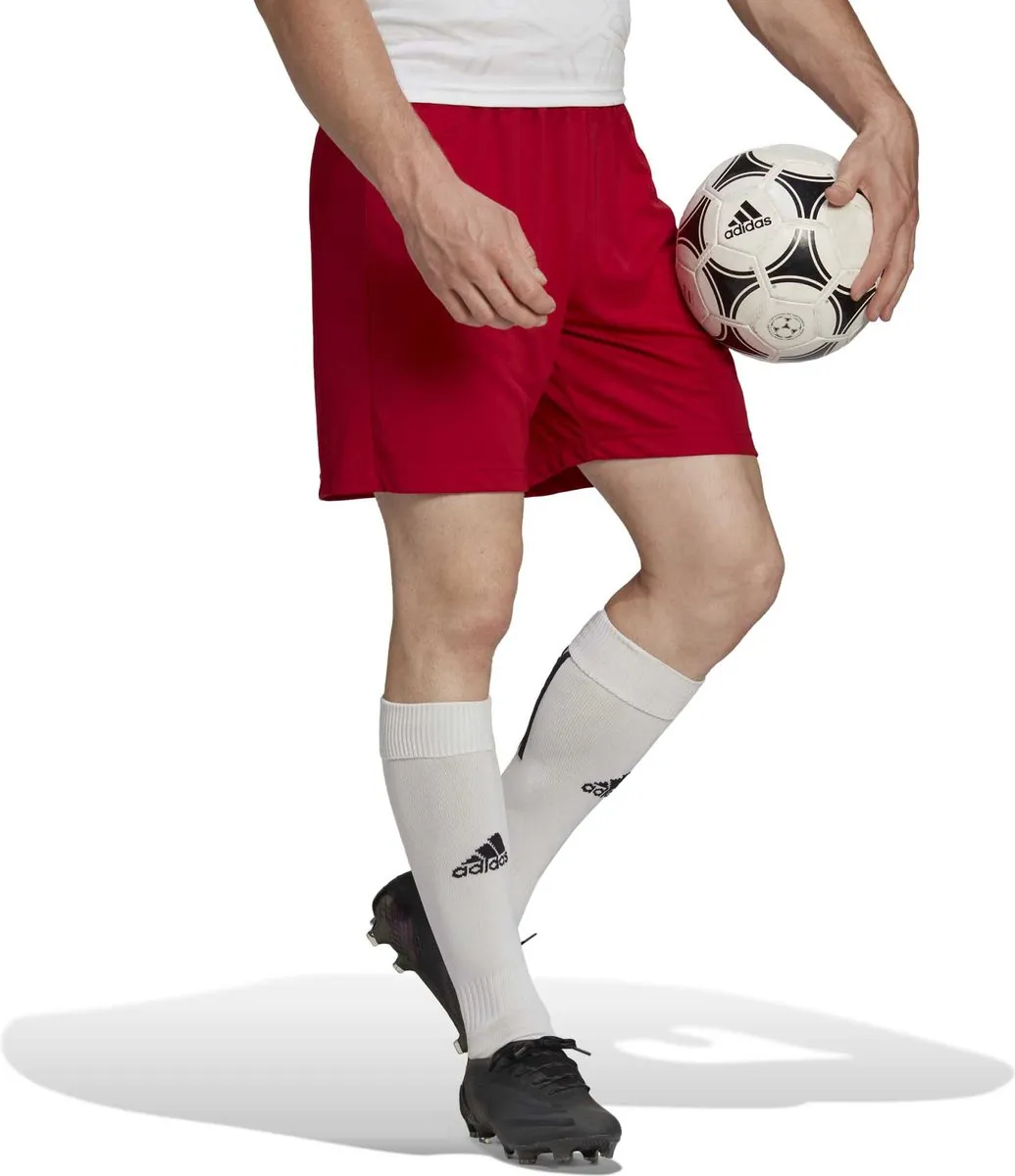 adidas Performance Entrada 22 Short H61735 - Rood - S