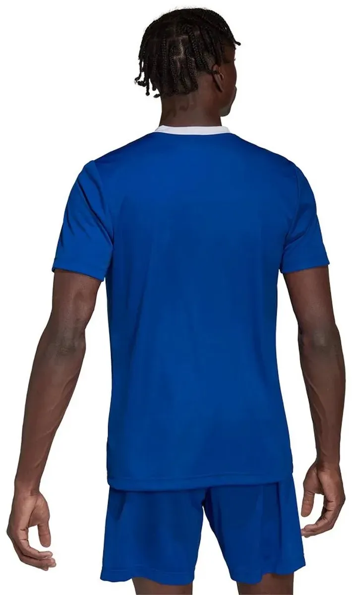 adidas Performance Entrada 22 Voetbalshirt XL - Blauw