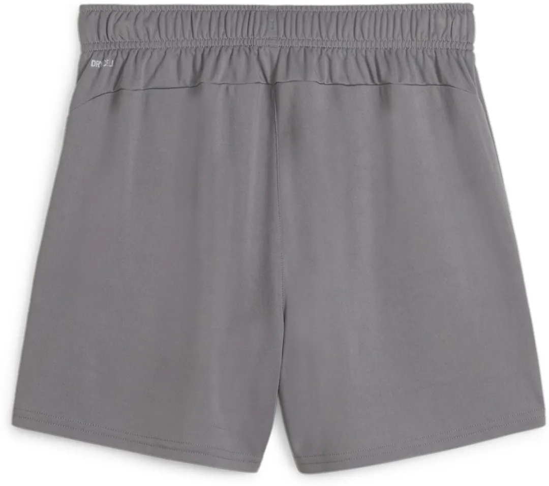 PUMA Damen TeamGoal Handball Shorts S - Cast Iron/White