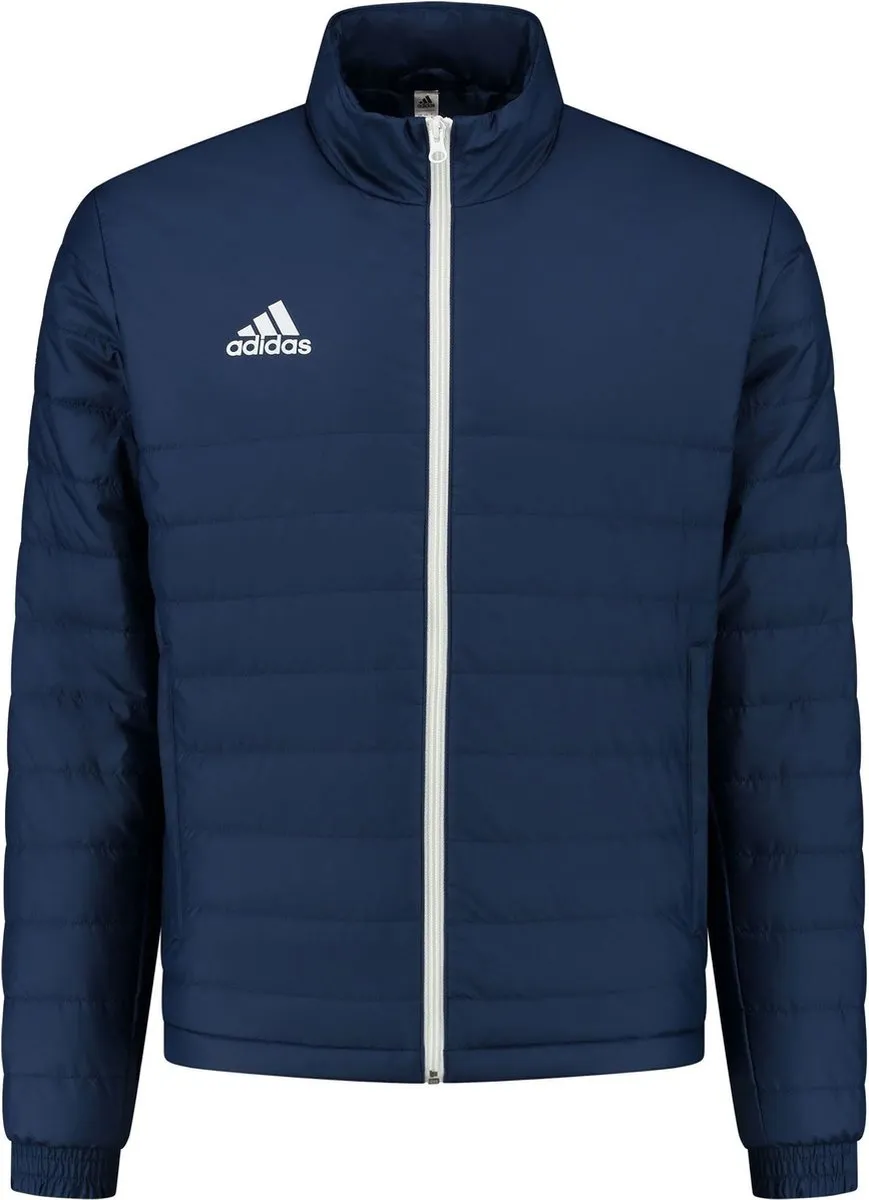 Adidas Entrada 22 Jas Junior