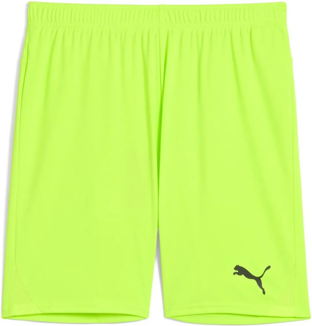 PUMA TeamGoal Shorts 705752