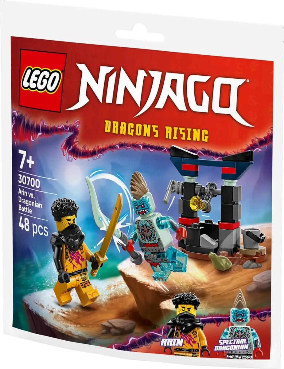 LEGO Ninjago 30700 Arins Duel met de Draakman - 48 Stukken