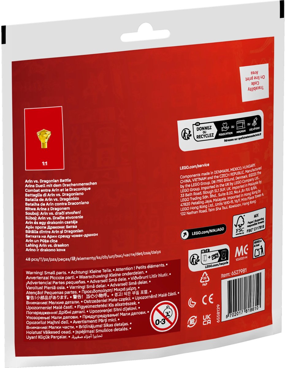 LEGO Ninjago 30700 - Arins duel met de draakman (paperbag)