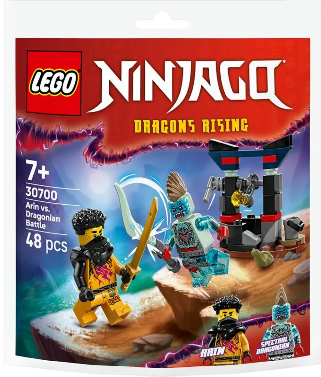 LEGO Ninjago 30700 Arins Duel met de Draakman - 48 Stukken