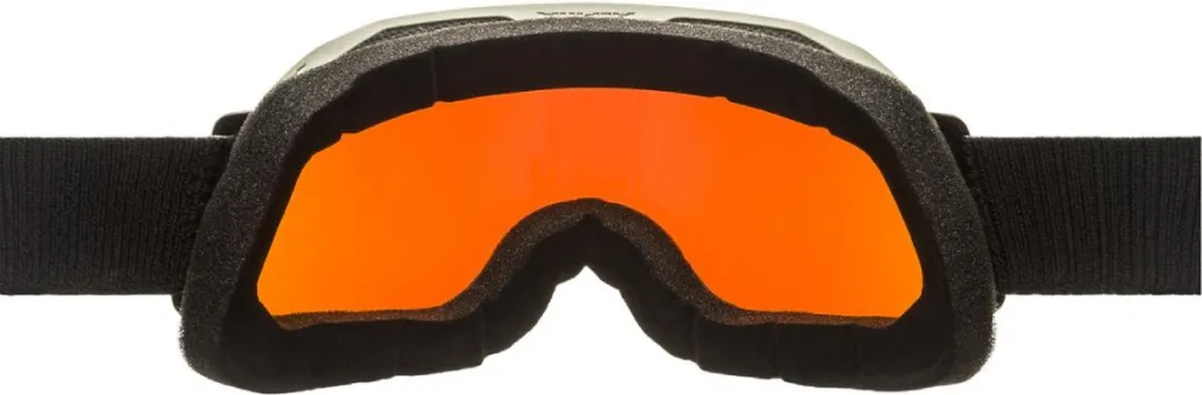 Alpina Blackcomb Q-Lite OTG Skibril - Grijs